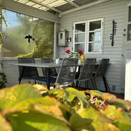 Drifa - 20m From The Sea By Interhome Feriehus