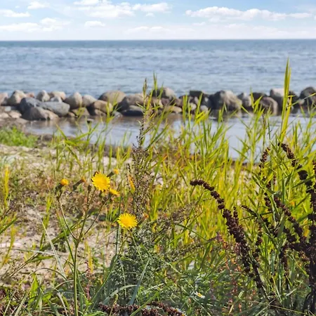 Drifa - 20m From The Sea By Interhome